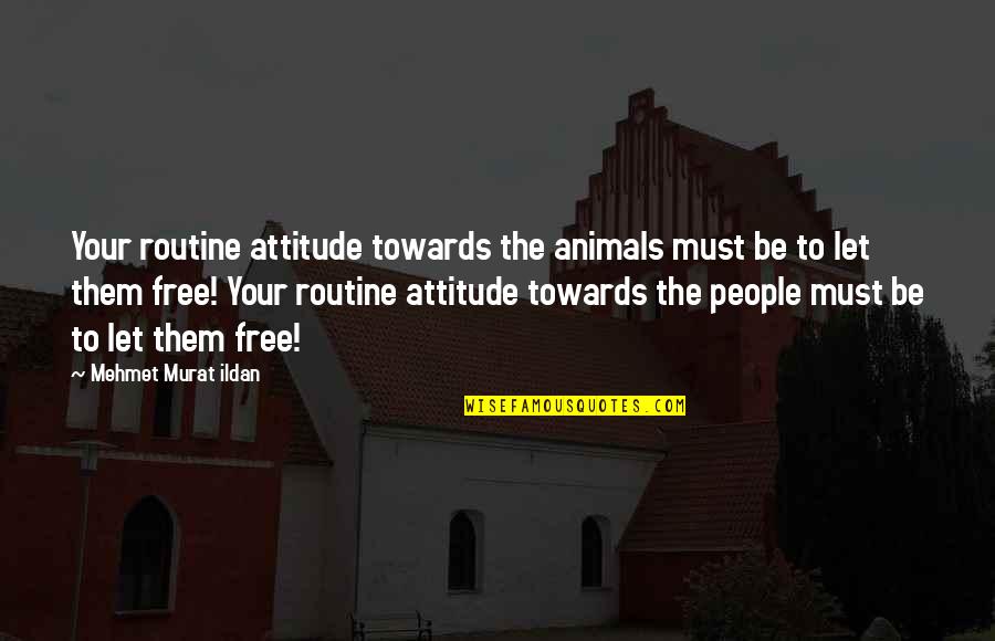 Freedom For Animals Quotes By Mehmet Murat Ildan: Your routine attitude towards the animals must be