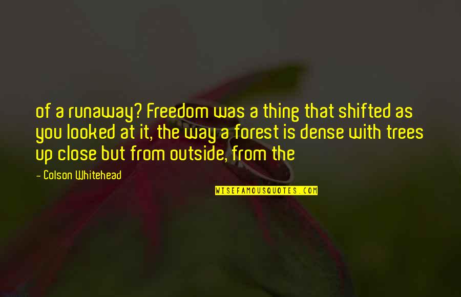 Freedom From You Quotes By Colson Whitehead: of a runaway? Freedom was a thing that Freedom From You Quotes By Colson Whitehead: of a runaway? Freedom was a thing that