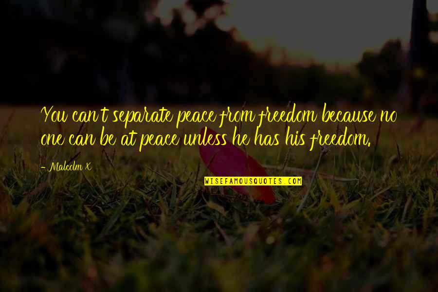 Freedom From You Quotes By Malcolm X: You can't separate peace from freedom because no Freedom From You Quotes By Malcolm X: You can't separate peace from freedom because no