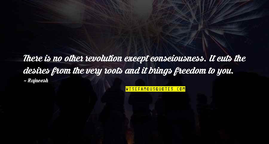 Freedom From You Quotes By Rajneesh: There is no other revolution except consciousness. It Freedom From You Quotes By Rajneesh: There is no other revolution except consciousness. It