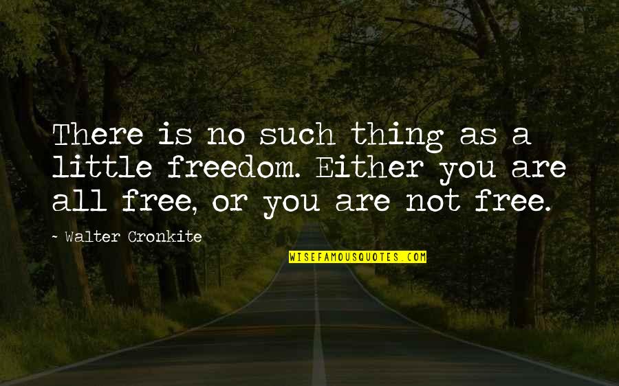 Freedom Is Not Free Quotes By Walter Cronkite: There is no such thing as a little