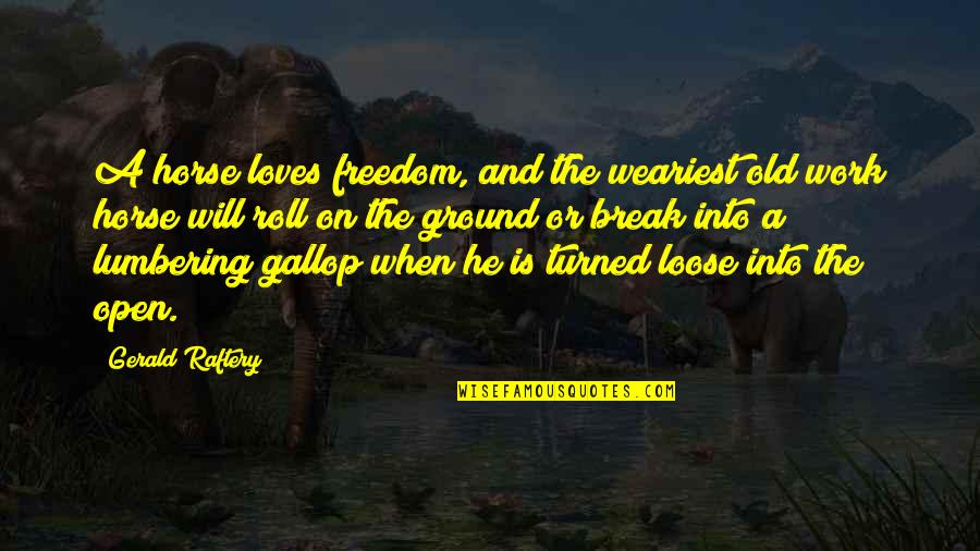 Freedom Is Quotes By Gerald Raftery: A horse loves freedom, and the weariest old Freedom Is Quotes By Gerald Raftery: A horse loves freedom, and the weariest old