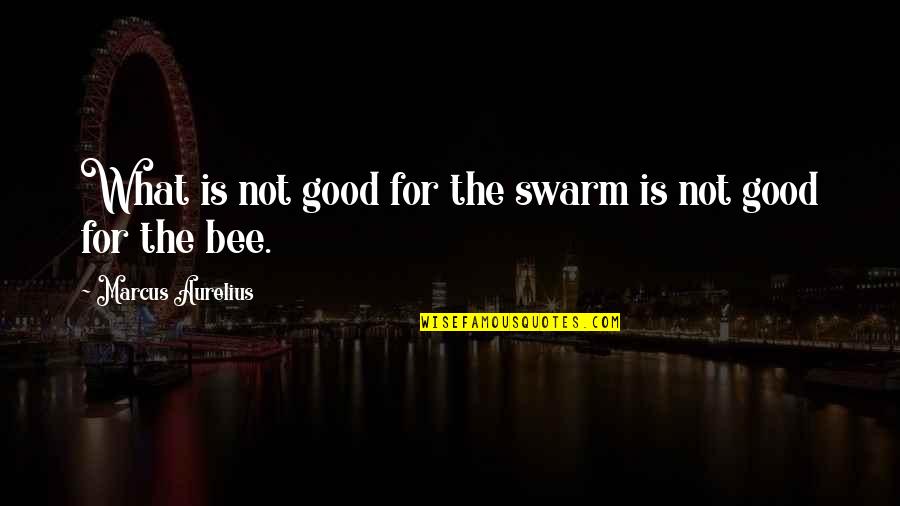 Freedom Is Quotes By Marcus Aurelius: What is not good for the swarm is Freedom Is Quotes By Marcus Aurelius: What is not good for the swarm is