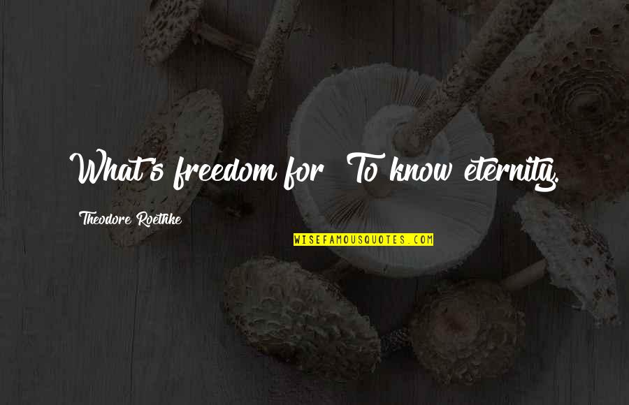 Freedom Love Quotes By Theodore Roethke: What's freedom for? To know eternity.