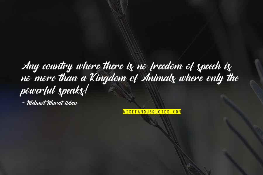 Freedom Of Expression Quotes By Mehmet Murat Ildan: Any country where there is no freedom of