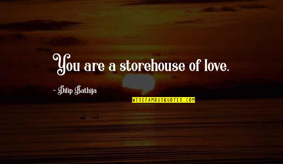 Freedom Of Love Quotes By Dilip Bathija: You are a storehouse of love.