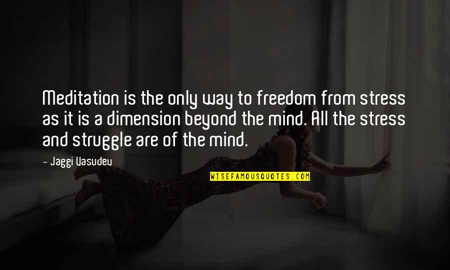 Freedom Of Mind Quotes By Jaggi Vasudev: Meditation is the only way to freedom from