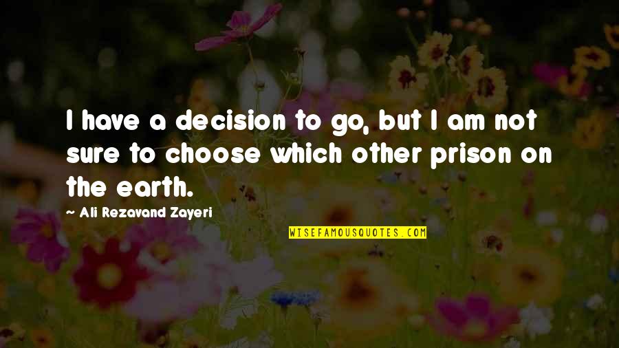 Freedom Of Speech Quotes By Ali Rezavand Zayeri: I have a decision to go, but I