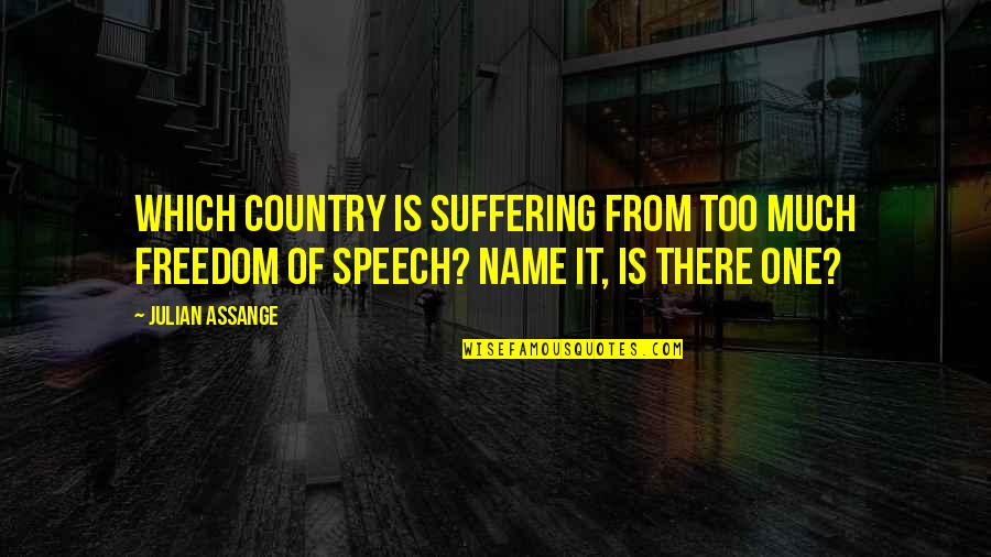 Freedom Of Speech Quotes By Julian Assange: Which country is suffering from too much freedom