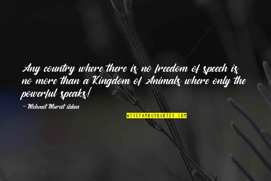 Freedom Of Speech Quotes By Mehmet Murat Ildan: Any country where there is no freedom of