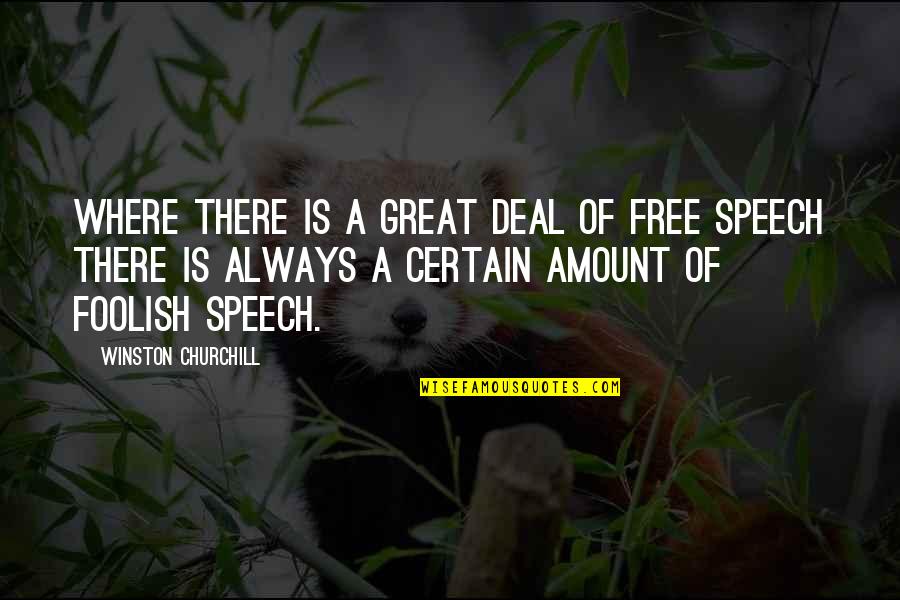 Freedom Of Speech Quotes By Winston Churchill: Where there is a great deal of free