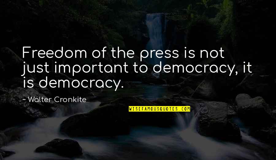 Freedom Of The Press Quotes By Walter Cronkite: Freedom of the press is not just important