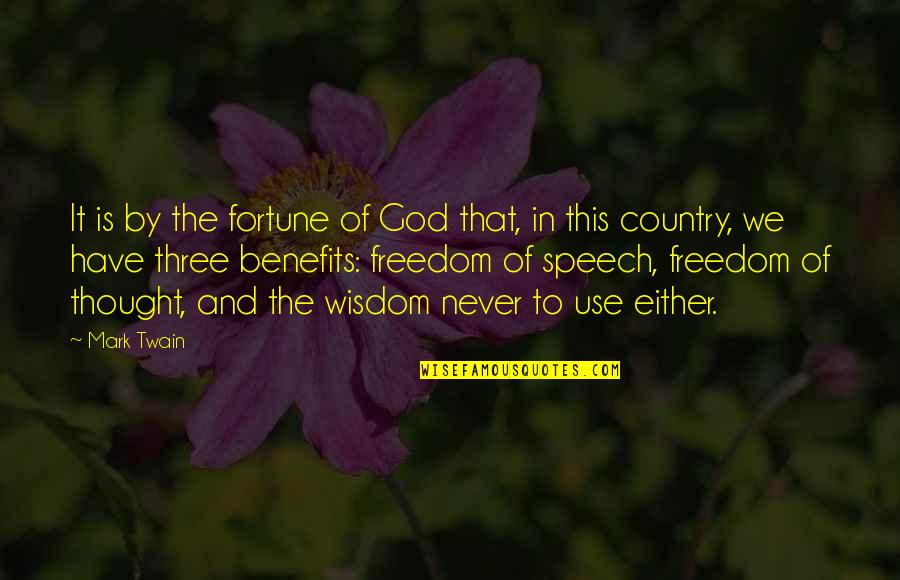 Freedom Of The Speech Quotes By Mark Twain: It is by the fortune of God that,