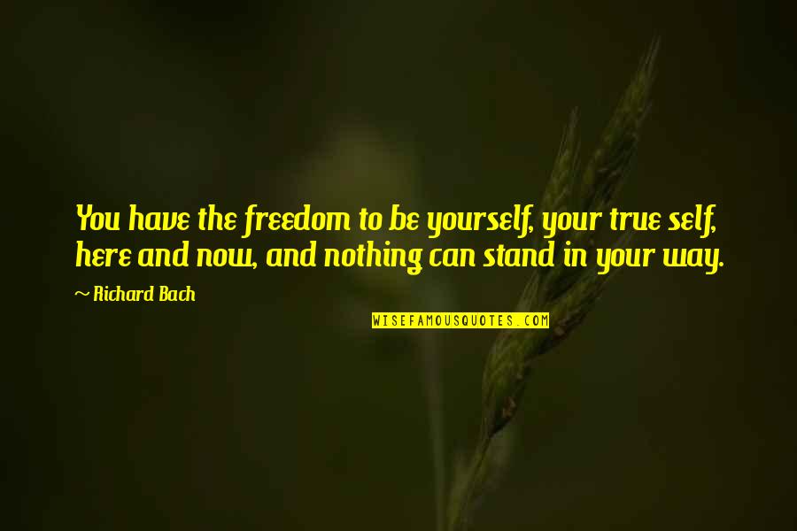 Freedom To Be Yourself Quotes By Richard Bach: You have the freedom to be yourself, your