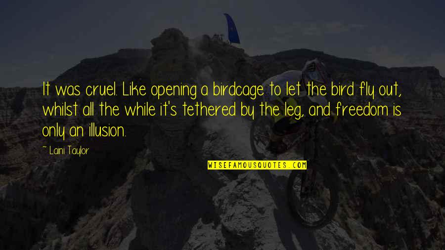 Freedom To Fly Quotes By Laini Taylor: It was cruel. Like opening a birdcage to