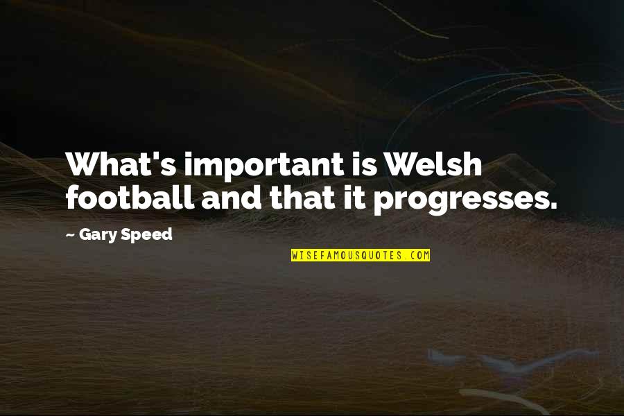Freedom To Roam Quotes By Gary Speed: What's important is Welsh football and that it