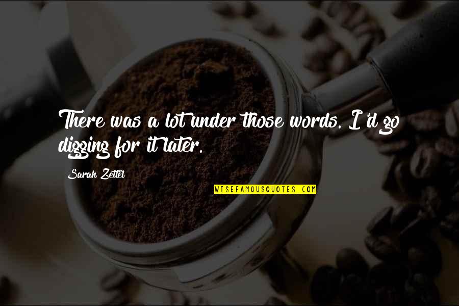 Freelancing Job Quotes By Sarah Zettel: There was a lot under those words. I'd