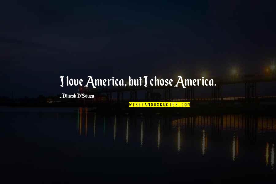 Freelander Pool Quotes By Dinesh D'Souza: I love America, but I chose America.