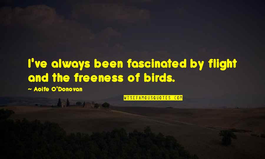 Freeness Quotes By Aoife O'Donovan: I've always been fascinated by flight and the
