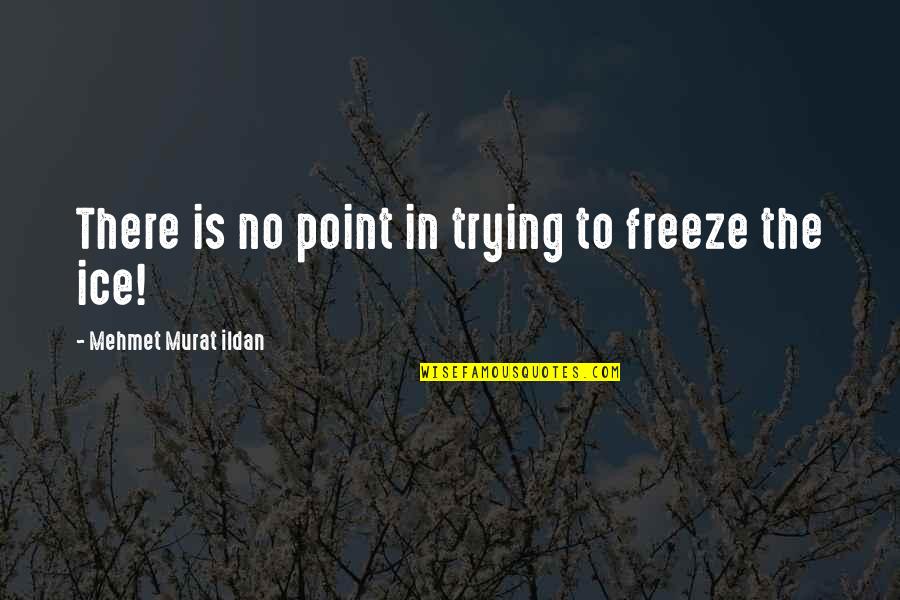 Freeze Quotes By Mehmet Murat Ildan: There is no point in trying to freeze