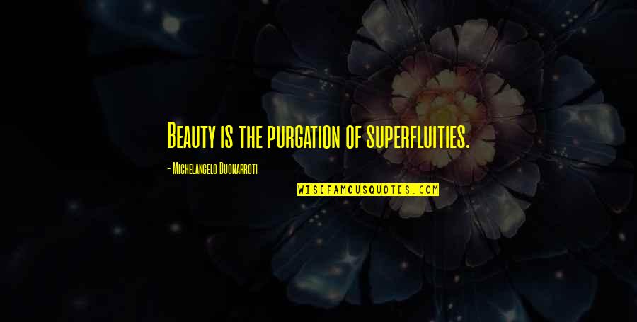 Freezedryguy Quotes By Michelangelo Buonarroti: Beauty is the purgation of superfluities.
