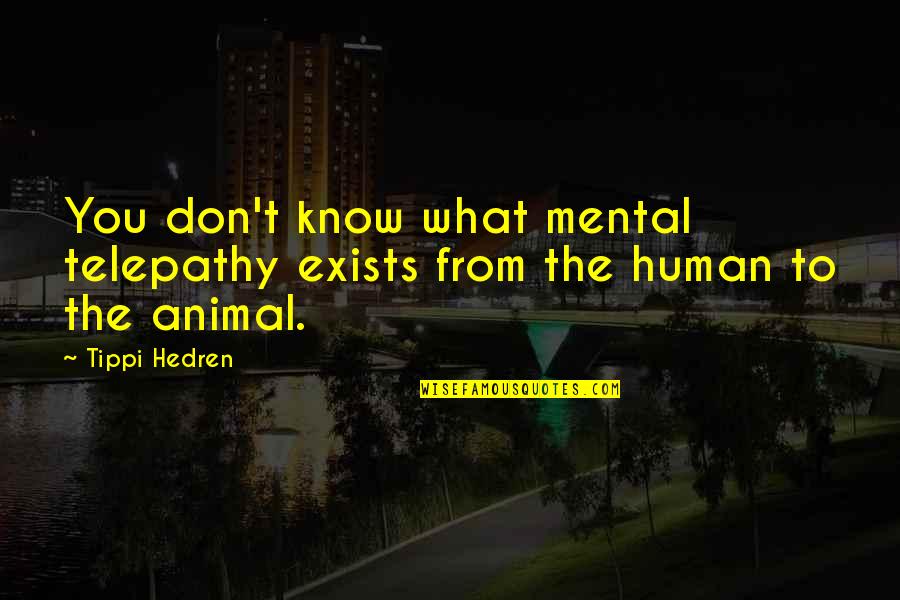 Freezers At Home Quotes By Tippi Hedren: You don't know what mental telepathy exists from