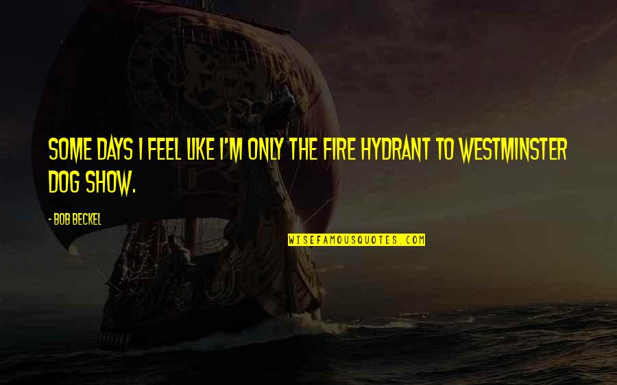 Frege Quotes By Bob Beckel: Some days I feel like I'm only the