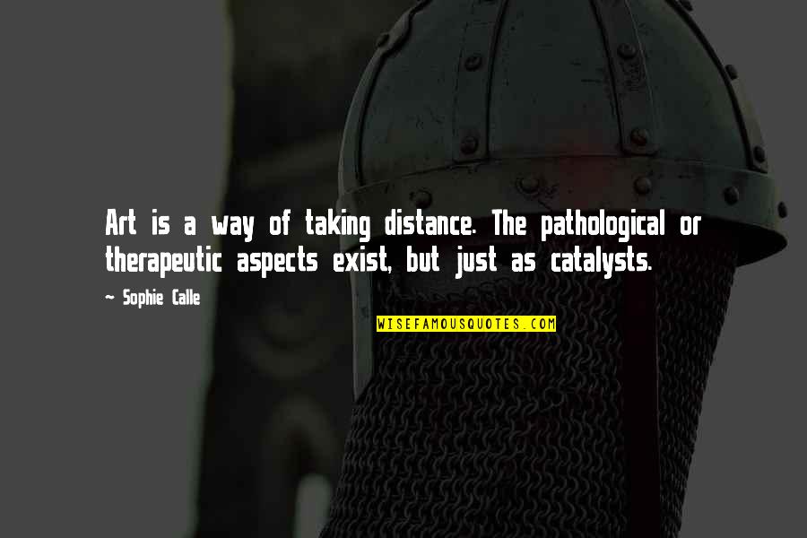 Freiberger Pizza Quotes By Sophie Calle: Art is a way of taking distance. The