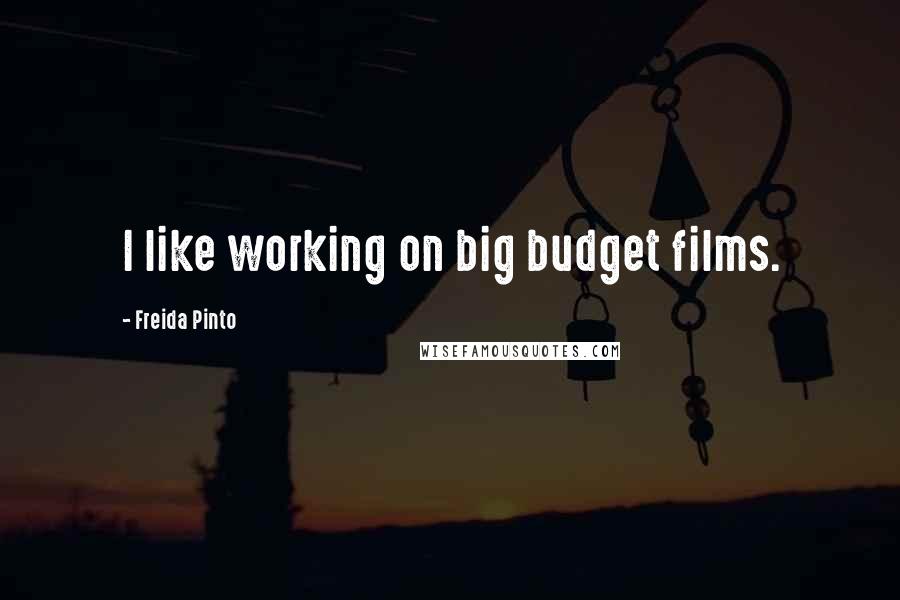 Freida Pinto quotes: I like working on big budget films.