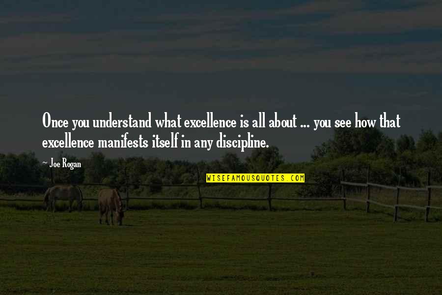 Freixo Espada Quotes By Joe Rogan: Once you understand what excellence is all about Freixo Espada Quotes By Joe Rogan: Once you understand what excellence is all about