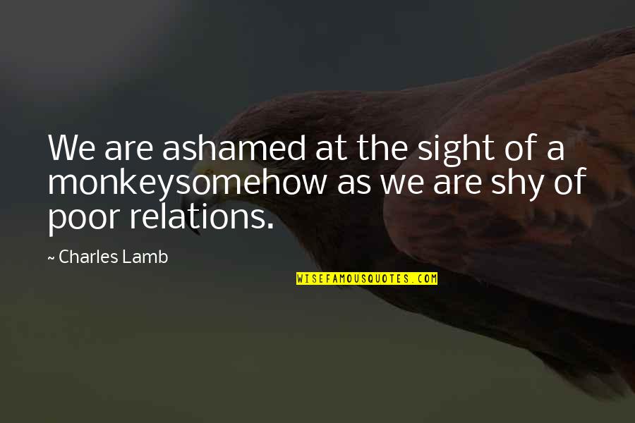 Frekuensi Nafas Quotes By Charles Lamb: We are ashamed at the sight of a