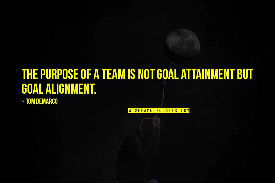 French Onion Soup Quotes By Tom DeMarco: The purpose of a team is not goal
