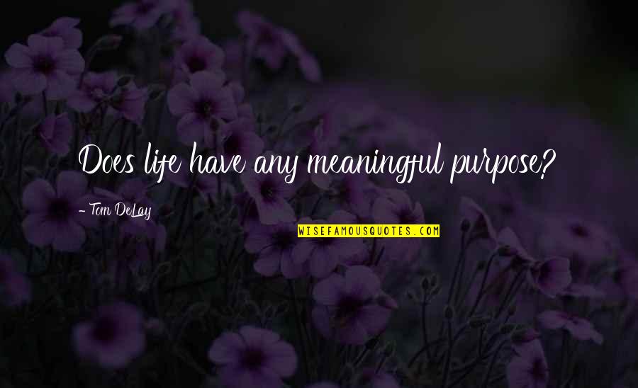 French Open Quotes By Tom DeLay: Does life have any meaningful purpose? French Open Quotes By Tom DeLay: Does life have any meaningful purpose?