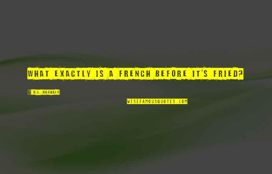 French's Quotes By D.J. MacHale: What exactly is a french before it's fried?