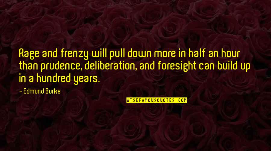 Frenzy Quotes By Edmund Burke: Rage and frenzy will pull down more in