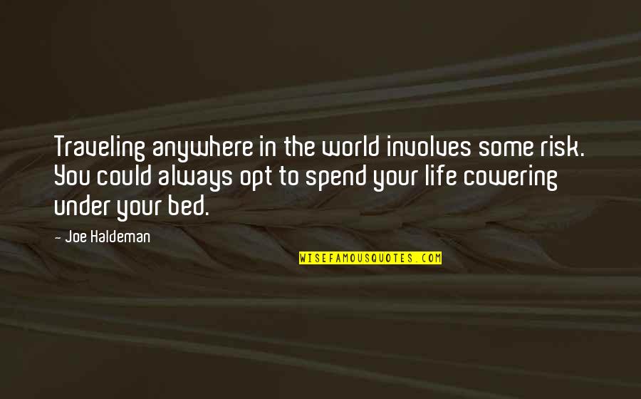 Frequencies Quotes By Joe Haldeman: Traveling anywhere in the world involves some risk.