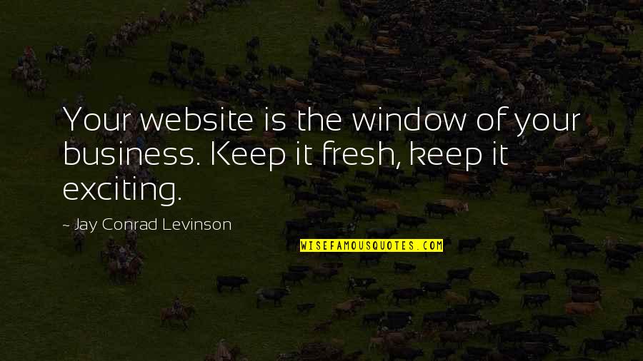 Fresh Fresh Exciting Quotes By Jay Conrad Levinson: Your website is the window of your business. Fresh Fresh Exciting Quotes By Jay Conrad Levinson: Your website is the window of your business.