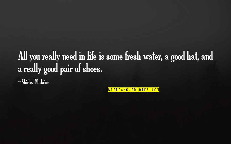 Fresh Pair Of Shoes Quotes By Shirley Maclaine: All you really need in life is some