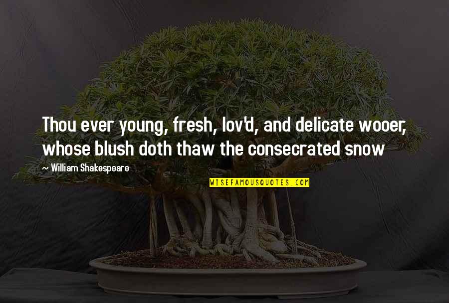 Fresh Snow Quotes By William Shakespeare: Thou ever young, fresh, lov'd, and delicate wooer,