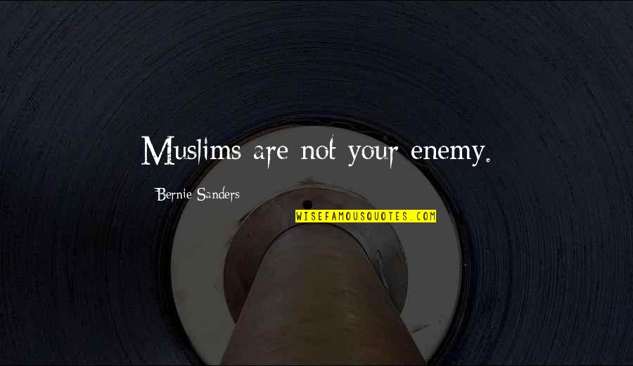 Fresher Than Febreze Quotes By Bernie Sanders: Muslims are not your enemy.