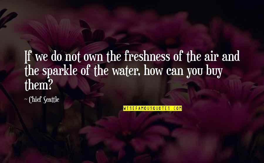 Freshness Of Air Quotes By Chief Seattle: If we do not own the freshness of