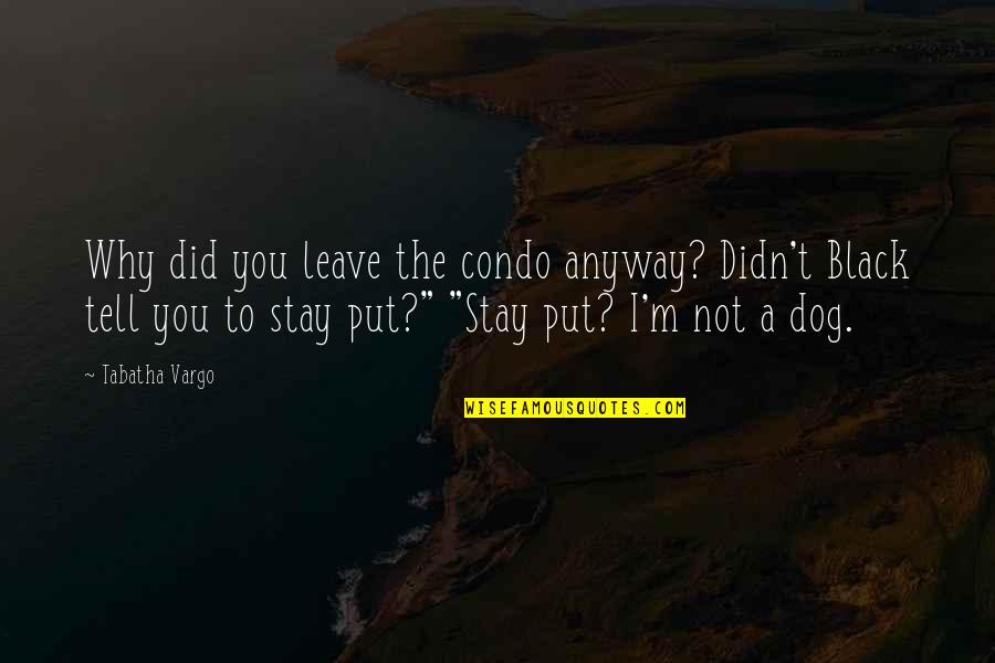 Frestail Quotes By Tabatha Vargo: Why did you leave the condo anyway? Didn't