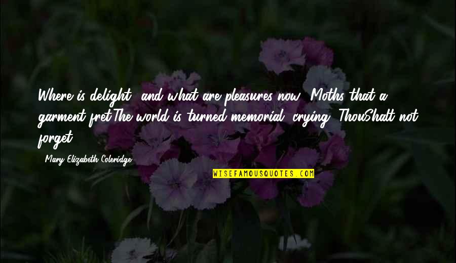 Fret Quotes By Mary Elizabeth Coleridge: Where is delight? and what are pleasures now?-Moths Fret Quotes By Mary Elizabeth Coleridge: Where is delight? and what are pleasures now?-Moths