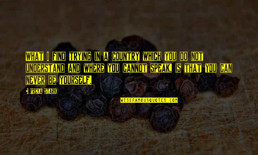 Freya Quotes By Freya Stark: What I find trying in a country which Freya Quotes By Freya Stark: What I find trying in a country which
