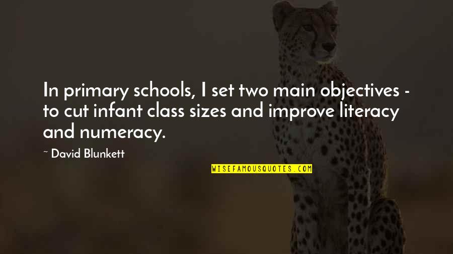 Frias Wix Quotes By David Blunkett: In primary schools, I set two main objectives
