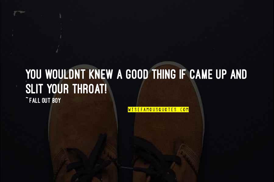 Fricken Or Frickin Quotes By Fall Out Boy: You wouldnt knew a good thing if came