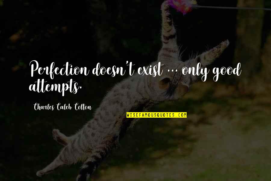 Frickman Of Connecticut Quotes By Charles Caleb Colton: Perfection doesn't exist ... only good attempts. Frickman Of Connecticut Quotes By Charles Caleb Colton: Perfection doesn't exist ... only good attempts.
