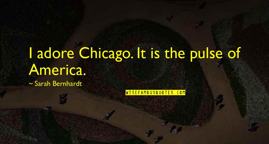 Friction Between Partners Quotes By Sarah Bernhardt: I adore Chicago. It is the pulse of