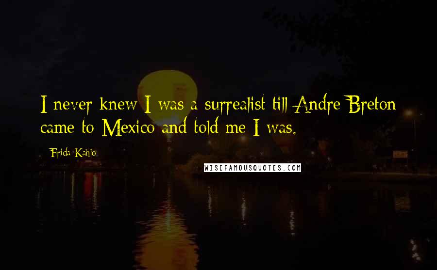 Frida Kahlo quotes: I never knew I was a surrealist till Andre Breton came to Mexico and told me I was.