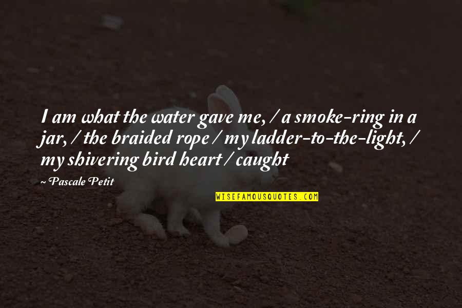 Frida's Quotes By Pascale Petit: I am what the water gave me, / Frida's Quotes By Pascale Petit: I am what the water gave me, /